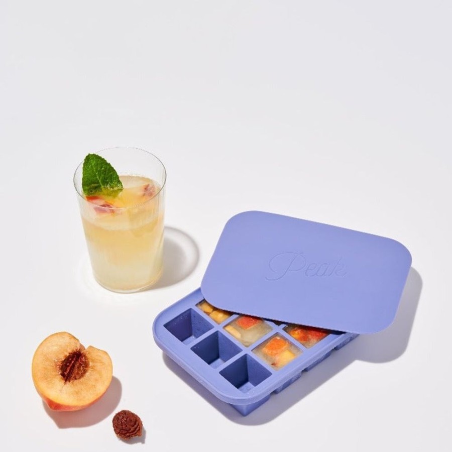 Accessories Wu0026P Design | Everyday Ice Tray, Blue